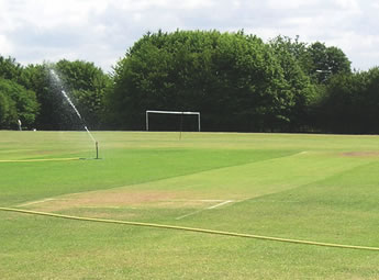 A cricket pitch